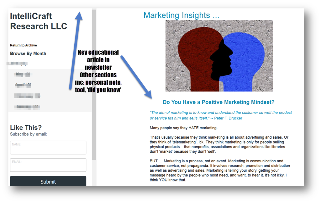 IntelliCraft Research marketing insights newsletter example