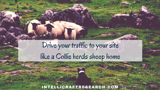 drive traffic to your site like herding sheep home