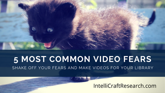 beat video fear no scaredy cat
