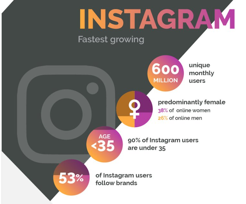 Instagram users demographics chart from Social Media Today