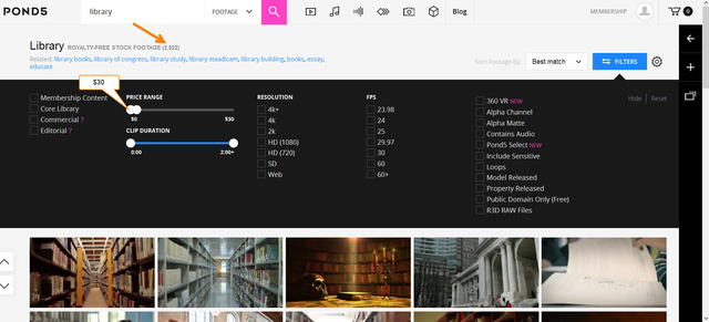Pond5 Video Stock source library search results